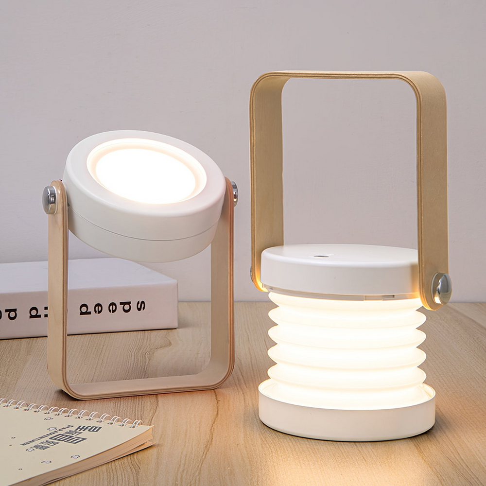 Modern Multi-Purpose Lamp