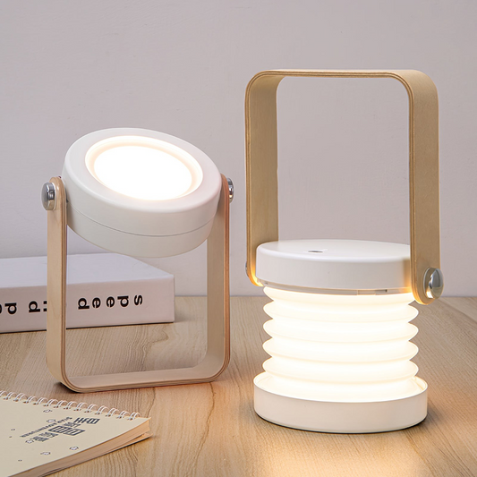 Modern Multi-Purpose Lamp
